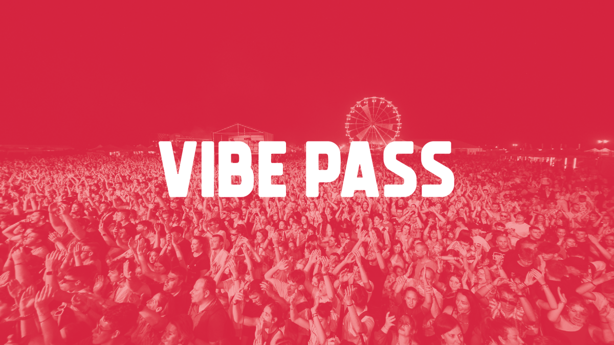 VIBE PROMOTER PASS 379
